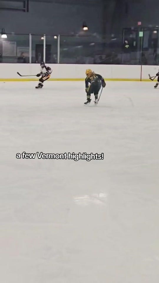 Post 2 by bullseyehockey 🇨🇦 on TikTok (video)