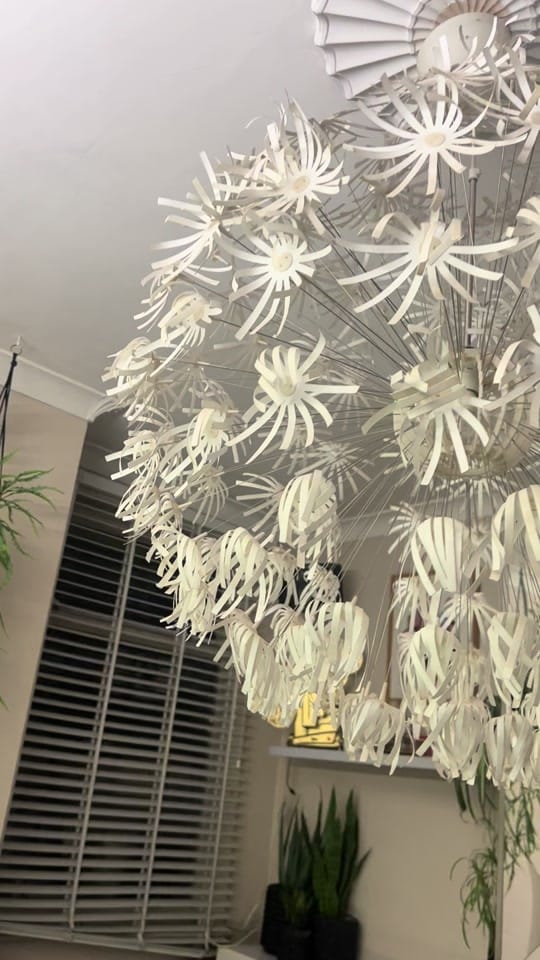 Post 10 by Katrina Thorpe on TikTok (video)