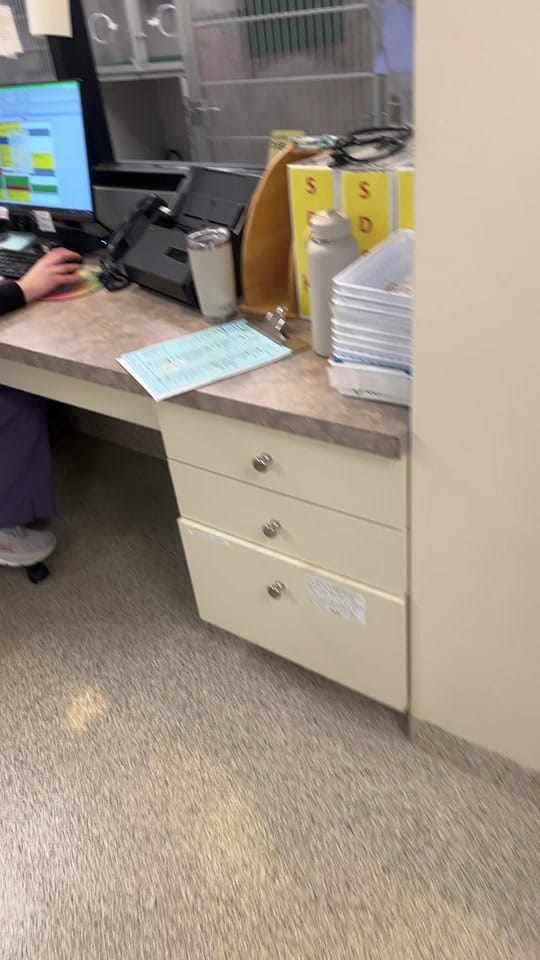 Post 3 by Glove Cities Vet Hospital 🐾 on TikTok (video)