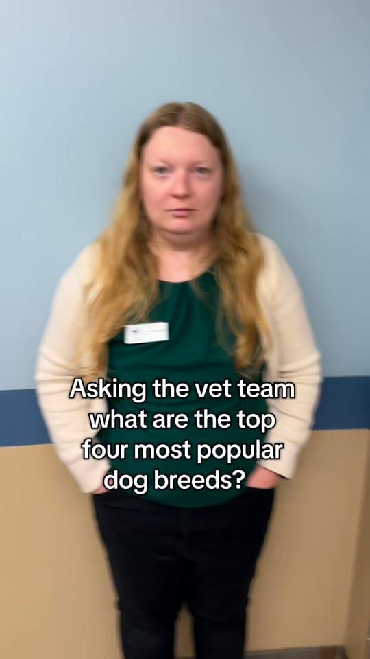 Post 6 by Glove Cities Vet Hospital 🐾 on TikTok (video)