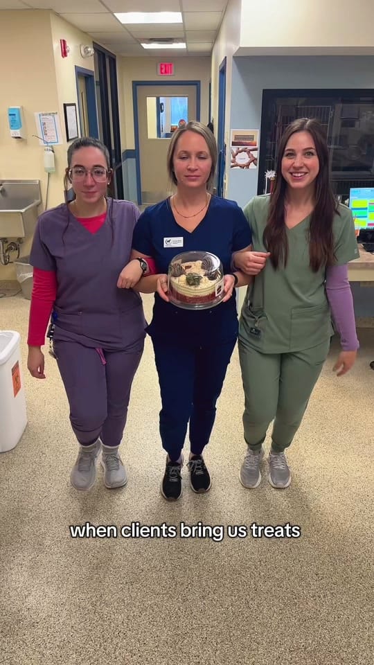 Post 9 by Glove Cities Vet Hospital 🐾 on TikTok (video)
