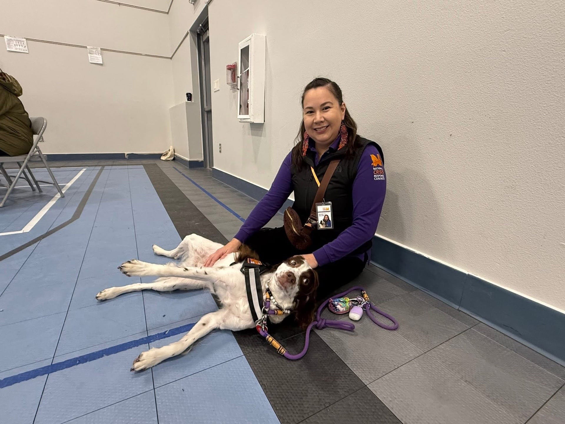 Post 7 by Arya Bear the Brittany on TikTok (video)