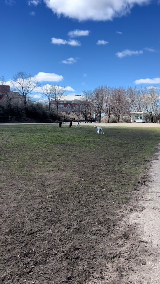 Post 8 by Badluckveteran on TikTok (video)