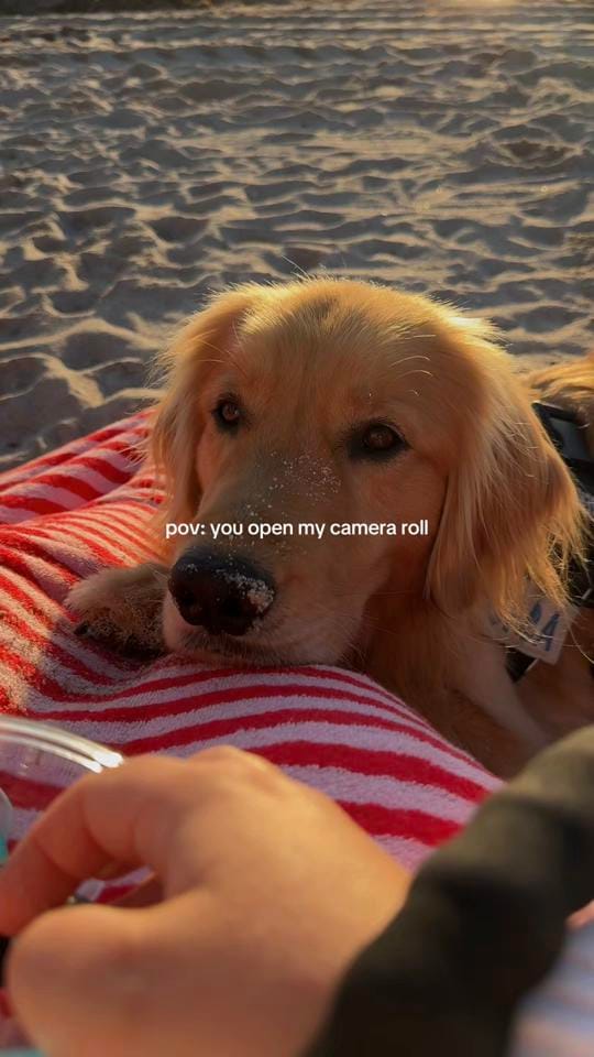 Post 8 by helloimpumba on TikTok (video)