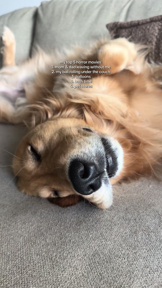 Post 7 by helloimpumba on TikTok (video)