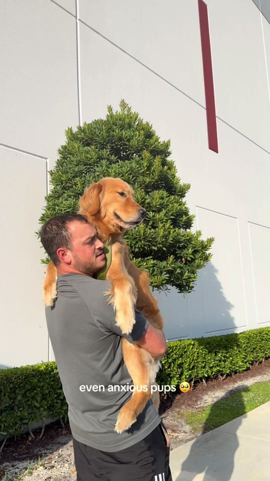 Post 5 by helloimpumba on TikTok (video)