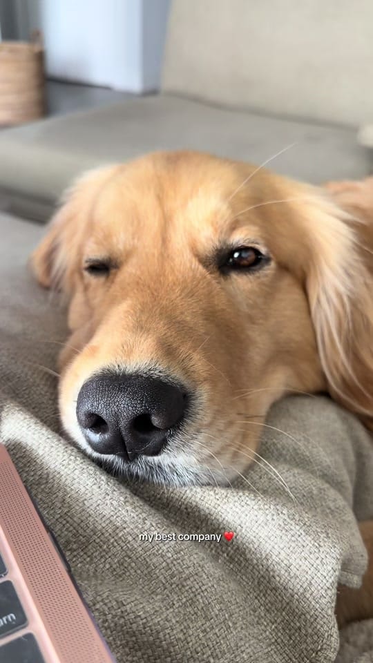Post 4 by helloimpumba on TikTok (video)