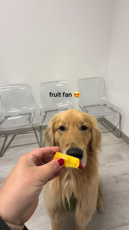 Post 3 by helloimpumba on TikTok (video)
