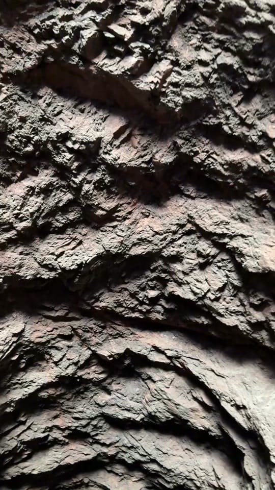 Post 3 by Sagebrush Sam on TikTok (video)