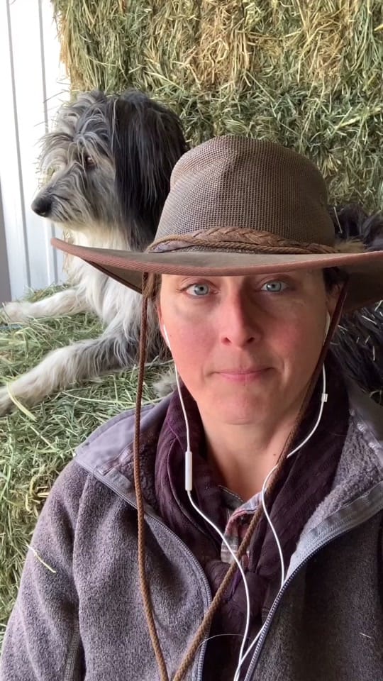 Post 10 by Sagebrush Sam on TikTok (video)