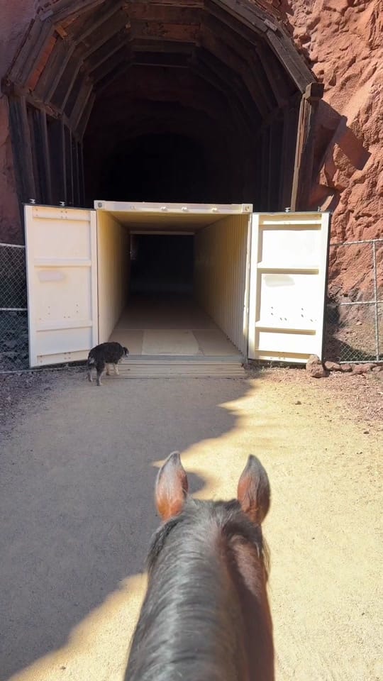 Post 2 by Sagebrush Sam on TikTok (video)