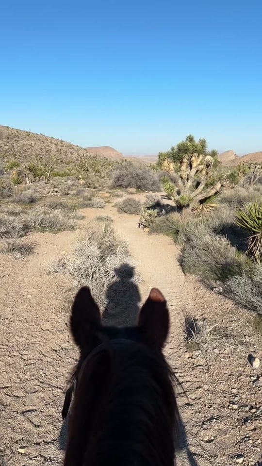 Post 6 by Sagebrush Sam on TikTok (video)