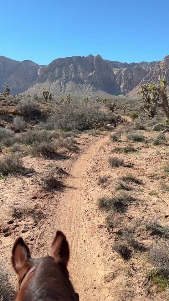 Post 5 by Sagebrush Sam on TikTok (video)