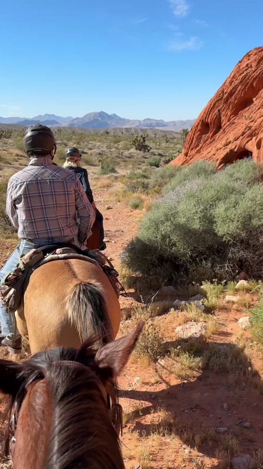 Post 1 by Sagebrush Sam on TikTok (video)