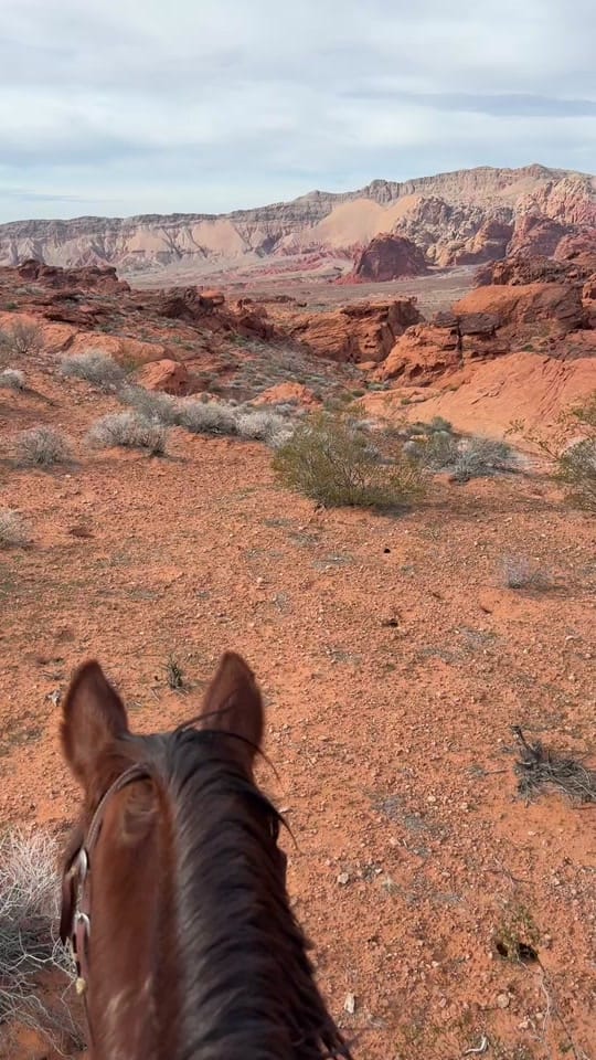 Post 4 by Sagebrush Sam on TikTok (video)