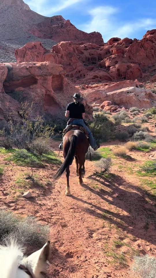 Post 7 by Sagebrush Sam on TikTok (video)
