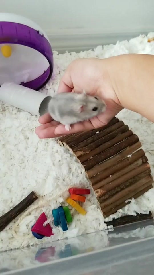 Post 8 by Nana on TikTok (video)