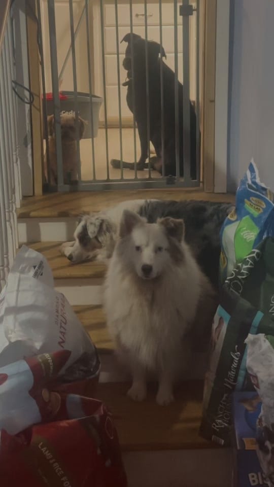 Post 1 by Greg King on TikTok (video)