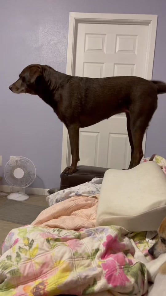 Post 2 by Greg King on TikTok (video)