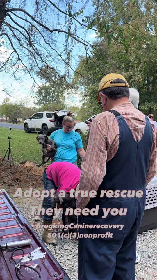 Post 7 by Greg King on TikTok (video)