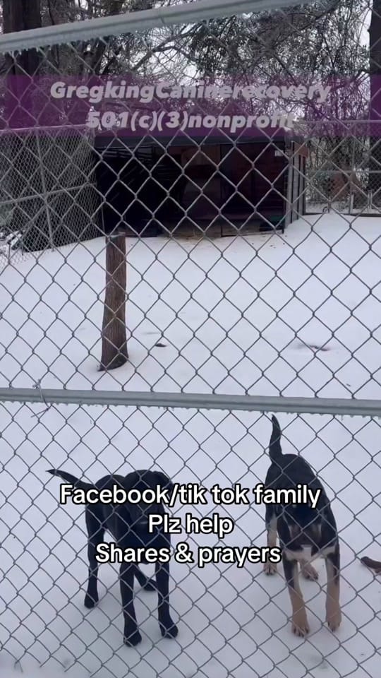 Post 4 by Greg King on TikTok (video)