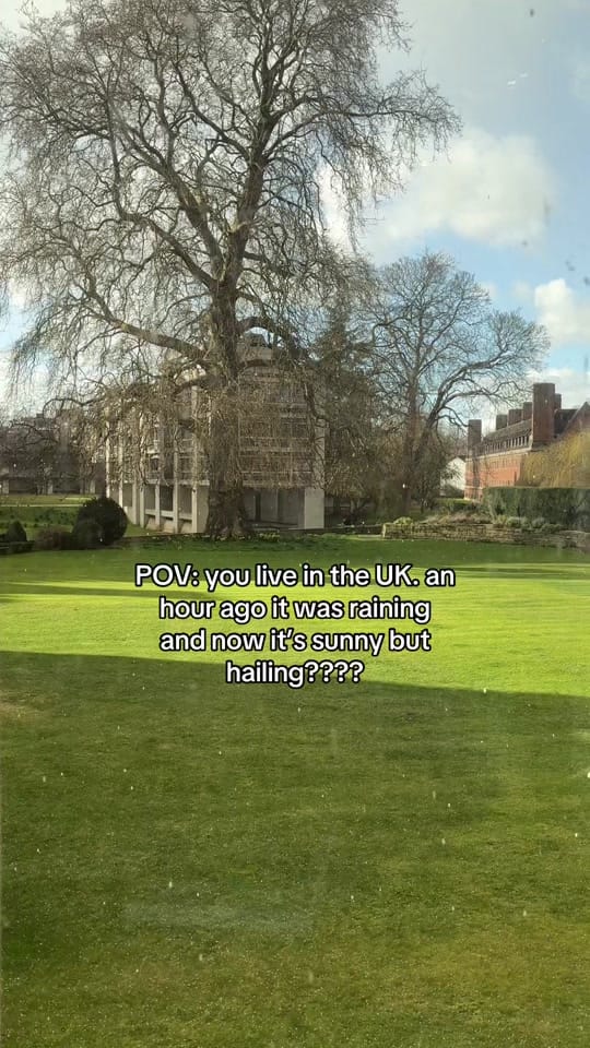 Post 8 by jade? on TikTok (video)