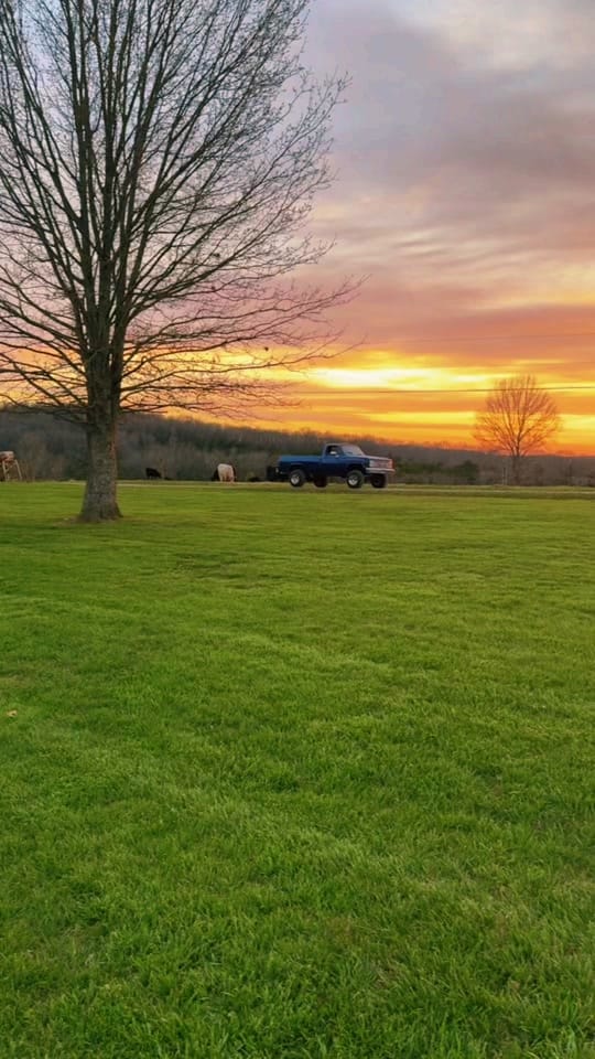 Post 9 by CountryDreamFarms on TikTok (video)