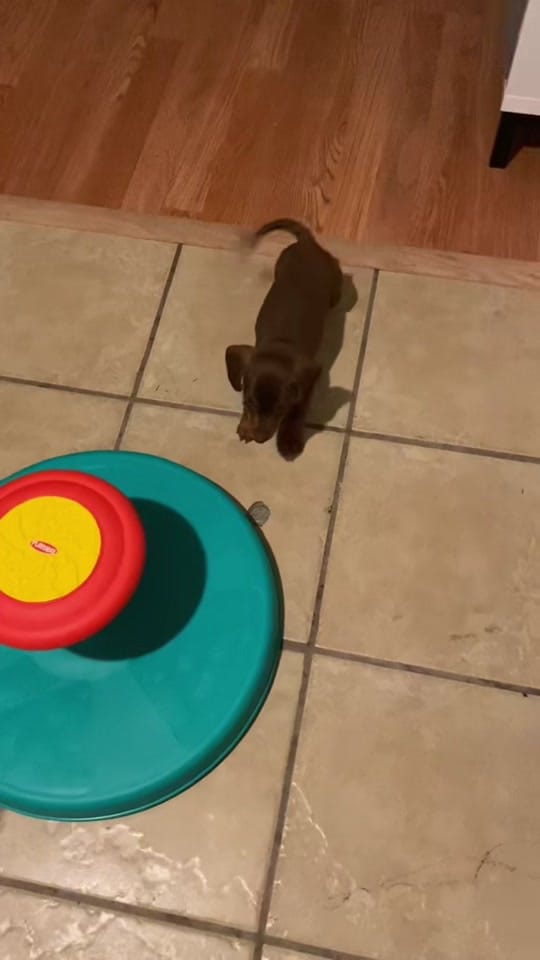 Post 3 by 𝙺𝚊𝚢𝚕𝚊 on TikTok (video)