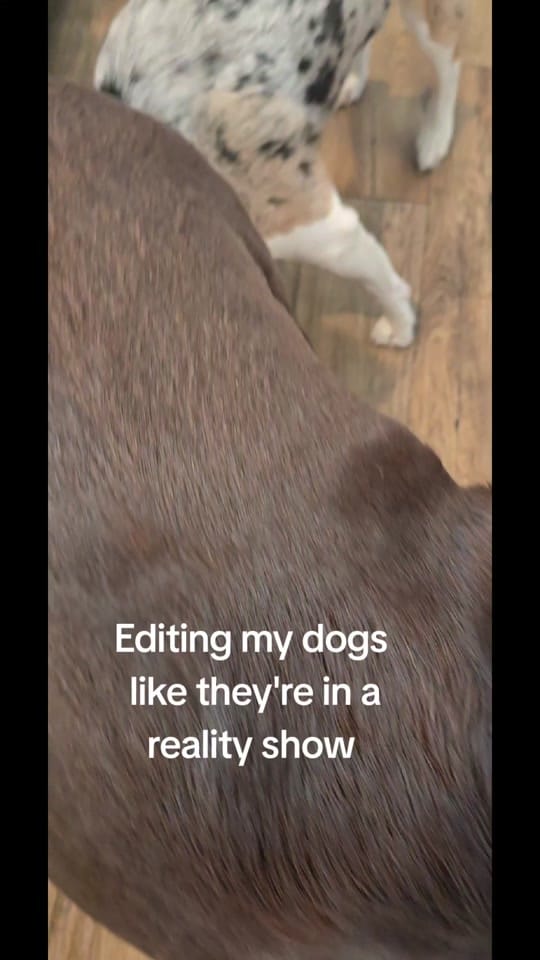 Post 9 by TinaLouise on TikTok (video)