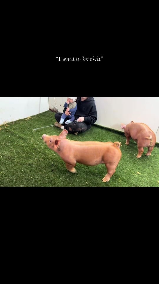 Post 6 by hayleehaylee94 on TikTok (video)