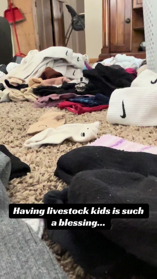Post 4 by hayleehaylee94 on TikTok (video)