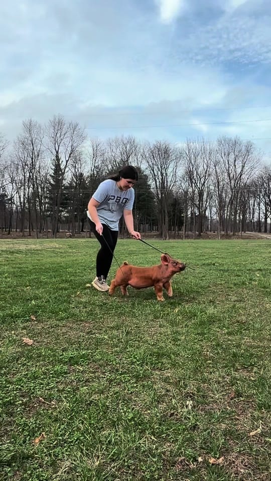 Post 1 by hayleehaylee94 on TikTok (video)