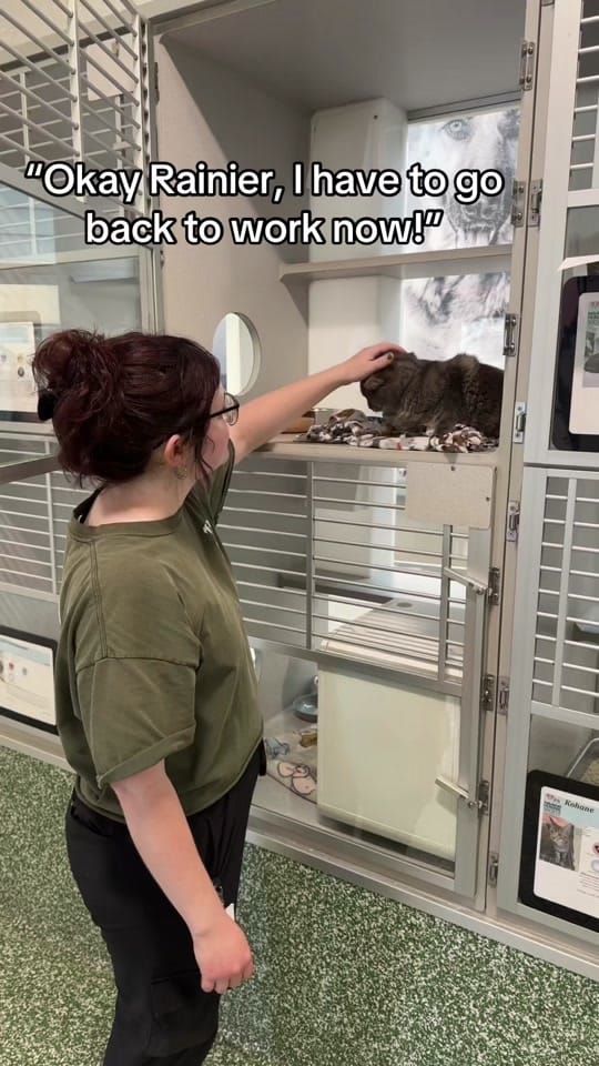 Post 9 by Idaho Humane Society on TikTok (video)