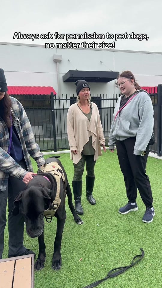 Post 4 by Idaho Humane Society on TikTok (video)