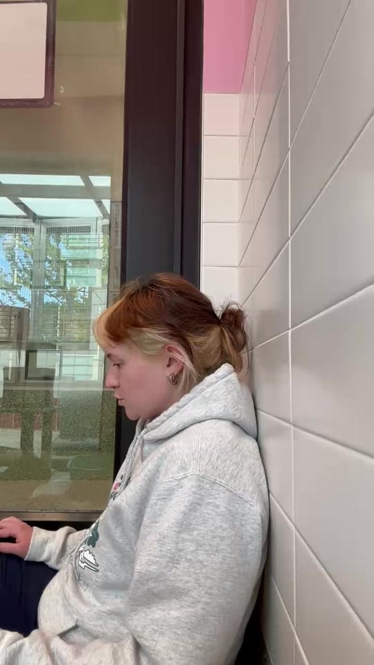 Post 3 by Idaho Humane Society on TikTok (video)