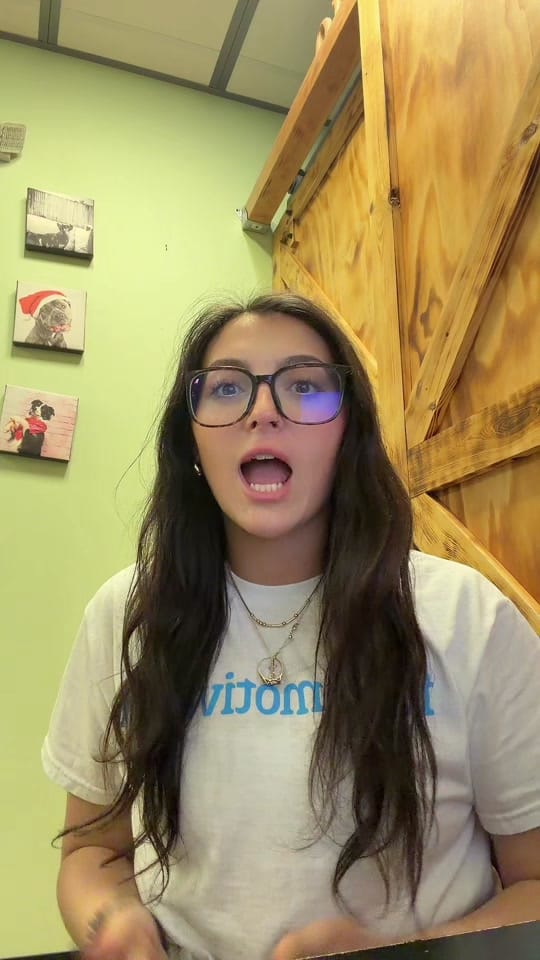 Post 5 by Stay Pet on TikTok (video)
