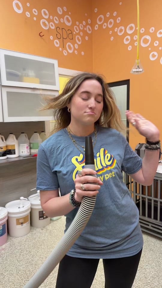 Post 4 by Stay Pet on TikTok (video)