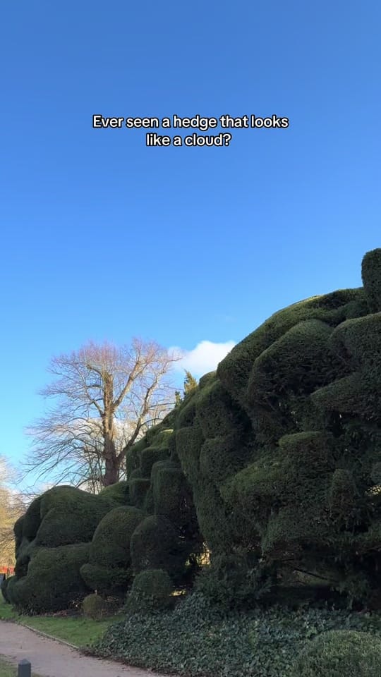 Post 10 by English Heritage on TikTok (video)
