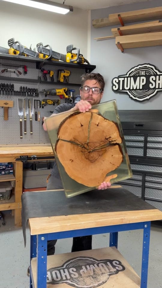 Post 3 by The Stump Shop on TikTok (video)