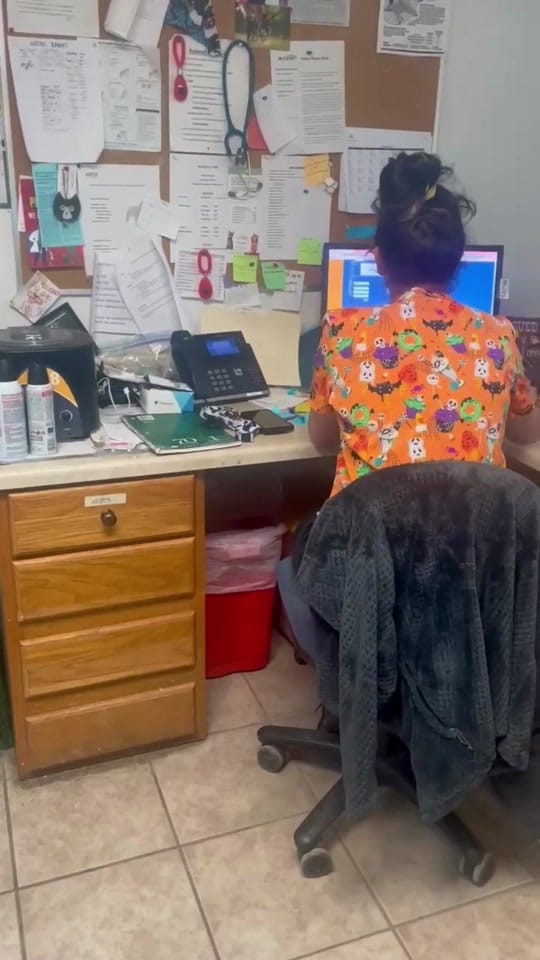 Post 4 by Cedar Bend Humane Society on TikTok (video)