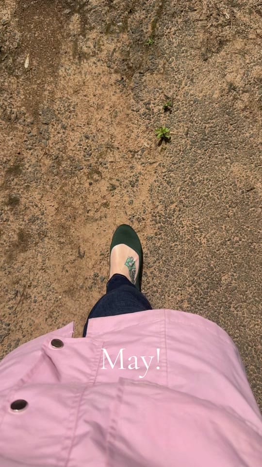 Post 1 by Maggie Gessner on TikTok (video)