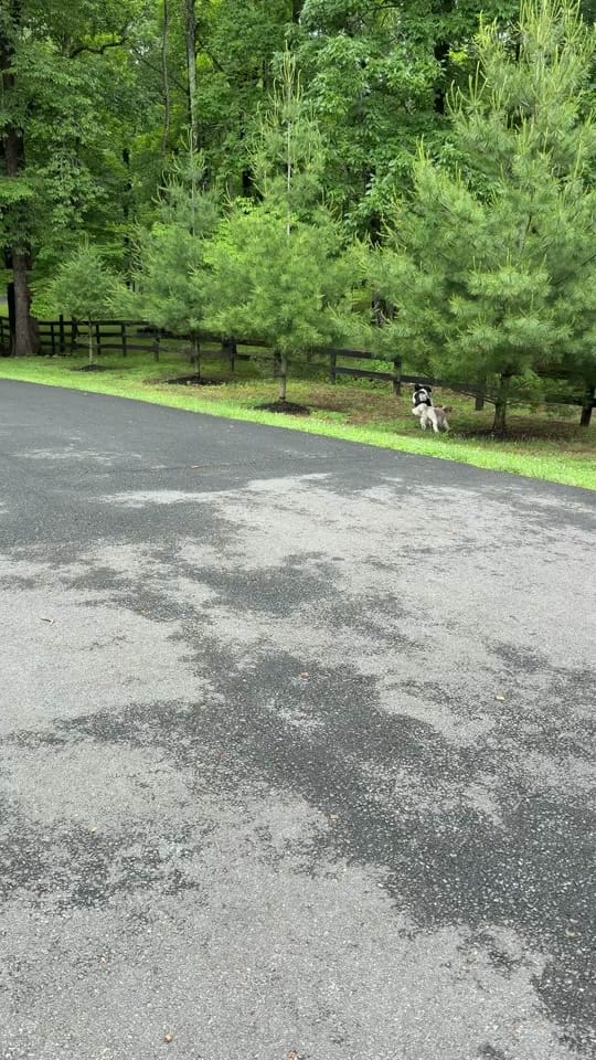 Post 5 by Maggie Gessner on TikTok (video)