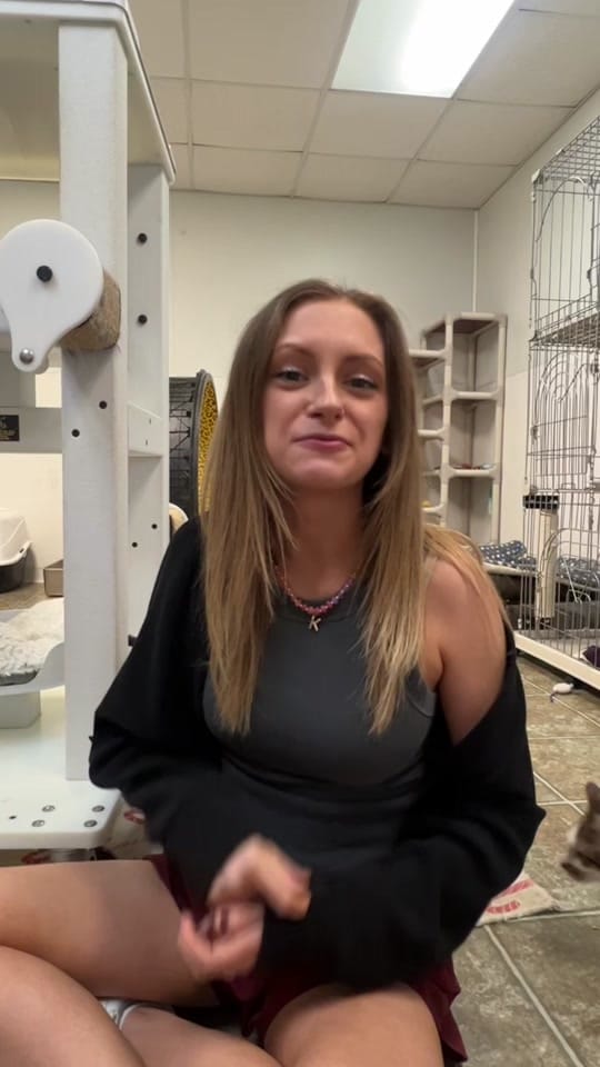 Post 6 by Abby on TikTok (video)