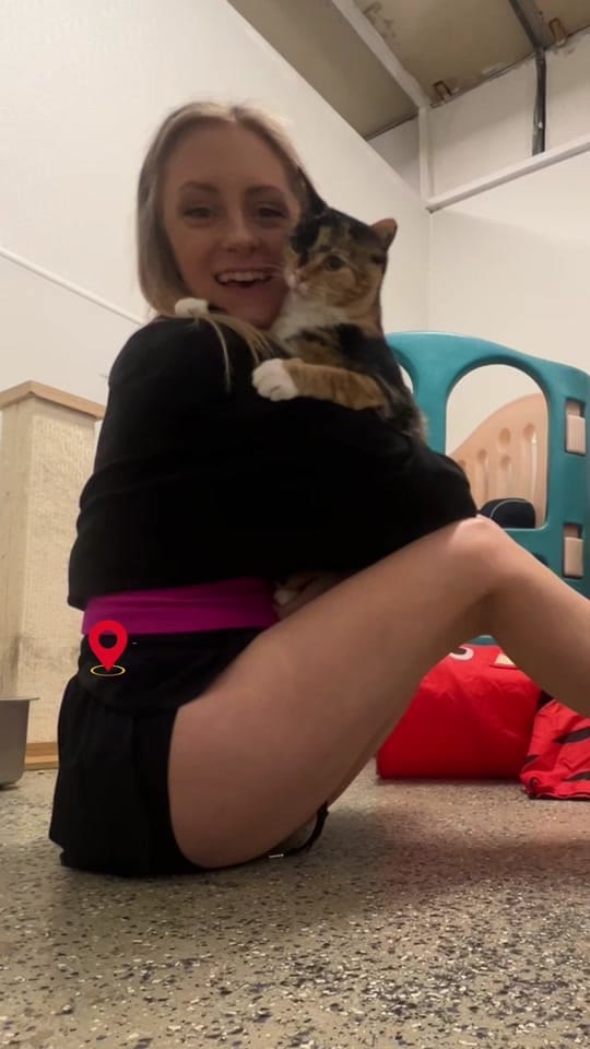 Post 2 by Abby on TikTok (video)