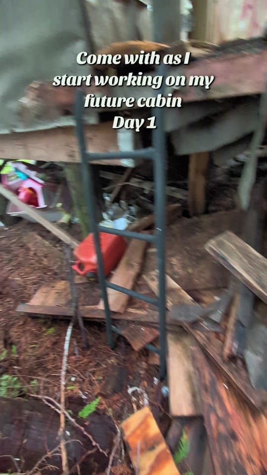 Post 8 by skunkie on TikTok (video)
