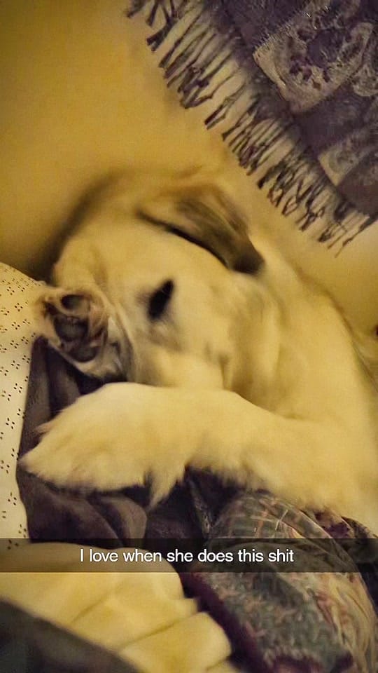 Post 1 by skunkie on TikTok (video)