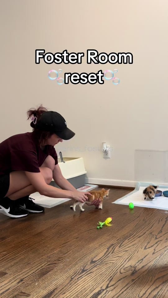 Post 4 by Erin Berger on TikTok (video)