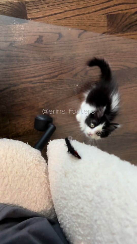 Post 7 by Erin Berger on TikTok (video)
