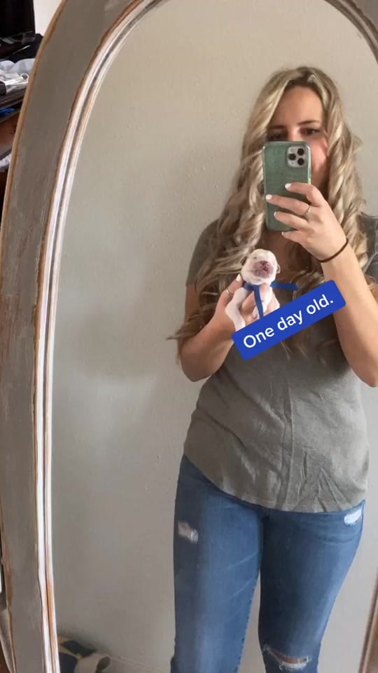 Post 10 by Stage Gulch Goldens on TikTok (video)