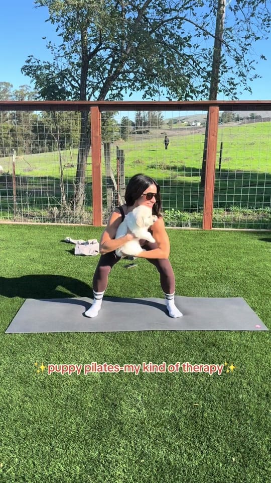 Post 6 by Stage Gulch Goldens on TikTok (video)